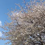 Einfach Schoene Ferien Im Westerwald Apartmán Norken