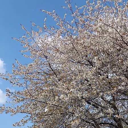 Einfach Schoene Ferien Im Westerwald Apartmán Norken