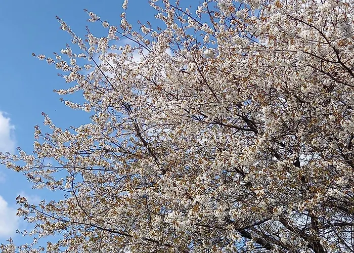 Einfach Schoene Ferien Im Westerwald דירה Norken